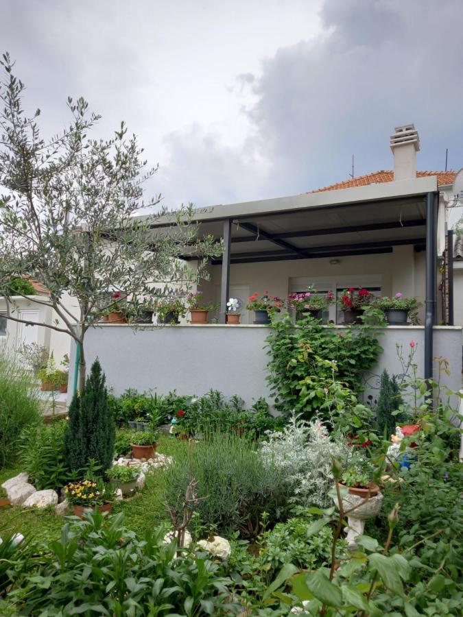 Luxury Bella Apartament